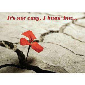 It's not easy, i know but
