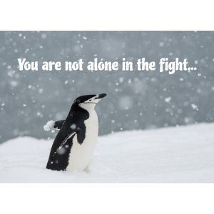 You are not alone in the fight...