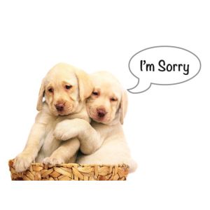 I'm Sorry
